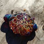Adrian Meier - @glutenfreeglass6 - Instagram