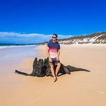 Adrian Meier - @adi_pat_ - Instagram
