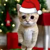 Adrian Melin - @adrian.melin59 - TikTok