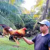 Adrian Curammeng - @adrian.curammeng - TikTok
