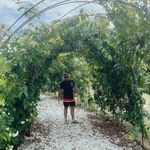 Adrian Mesa - @adrianmesa43 - Instagram