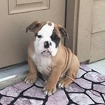 Adrian MESSER - @messeradrian - Instagram