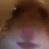 JAdrian González Gar - @adrianmic1 - TikTok