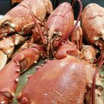 Adrian Miguez Cora - @restaurantelugardosixto - Instagram