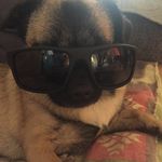 Adrian Mills - @adrian_likes_fortchip - Instagram