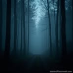Adrian Mills - Facebook