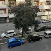 Adrian Milos - @adrianmilos1 - TikTok