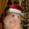 adrianminchon - @adrianminchon - TikTok