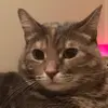 adriannaminch - @adriannaminch - TikTok