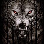 Adrian Miu - Facebook
