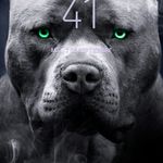Adrian Modesto - @adrian.modesto.3367 - Instagram