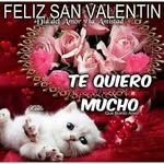 adrian modesto moreno - @adrianmodestomoreno - Instagram