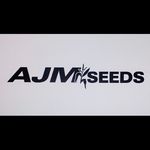 AJM Seeds - @adrian_moens - Instagram