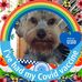 Adrian Moffatt - Facebook