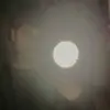 Adrian_Mollo_ - @_mollooo_ - TikTok