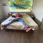 Carlos Adrian Monroy - @carlosadrianmonroy - Instagram