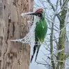 Adrian Morrow - @adrian.morrow8 - TikTok