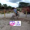 Adrian Navarrete - @adrian.navarrete7 - TikTok
