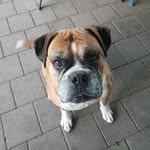 Adrian Naylor - @asar0245 - Instagram