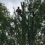 Adrian Needham - @adrian.needham.31 - Instagram