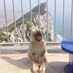 Adrian Needham - @adrian.needham2 - Instagram