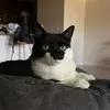 adrianneeds2k - @adrianneeds2k - TikTok