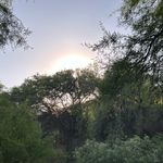 Adrian Negrete - @fiori.ne - Instagram