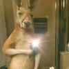 Adrian Negrete - @adrian.negrete4 - TikTok