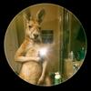 Adrian Negrete - @adrian.negrete0 - TikTok