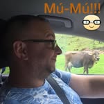 Adrián Németh - @nemeth790 - Instagram