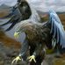 Adrian Nicholas - Facebook