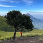 @adrian_nova_r - Instagram