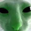 adriannuta608 - @adriannuta608 - TikTok