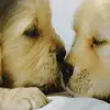 adrian.nuta - @adrian.nuta - TikTok
