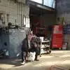 Adrian O Donnell - @adrian.o.donnell71 - TikTok