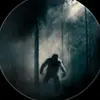 stoictrader - @adrianok71___ - TikTok