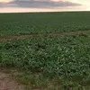 Adriano La - @adriano.la4 - TikTok