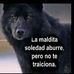 Adrian Olivarez - Facebook