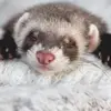Adrian Olvera238 - @adrianolvera238 - TikTok