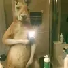 Adrian Olvera - @adrian.olvera54 - TikTok