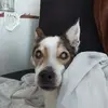 Adriane Opitz - @adrianeopitz - TikTok