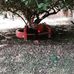 Adrian Ordaz - Facebook