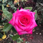 Adrian Ormsby - @ao_creative - Instagram