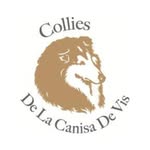Canisa de vis - Simone Esser & Adrian Ortner - @collies_la_canisa_de_vis - Instagram