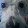 adrianosorio937 - @adrian.osorio768 - TikTok