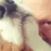 adrianottiwell - @adrianottiwell - TikTok