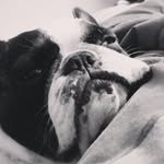 Adrian Pace-i - @adrianpacei - Instagram