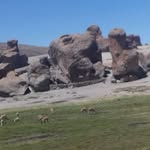 Adrian Paco - @adrian.paco.752 - Instagram