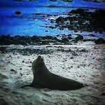 Adrian Padron - @adropadron - Instagram