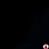 Adrian🦍 - @adrian.paez6 - TikTok
